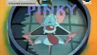 Pinky and the Brain - Intro/Theme [Dutch] [HQ]