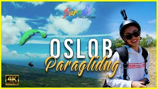 Fly Like You've Never Flown Before 🪂☁️💨 | Oslob Paragliding | Paradise Philippines