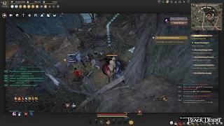 [REPORT] - BDO - TAMER - AFK GRIND - HP POT