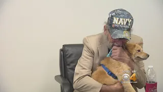 Veteran Plans To Sue RTD After Heated Argument Over Service Dog