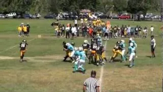 Dolphins vs Steelers - 2010 a Div. Championship Game Part 1