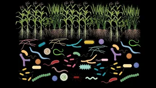 Exploring the Hidden World of Microbes