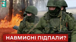 🔥 ЖАХЛИВІ ПОЖЕЖІ на Луганщині! ЧИМ ЗАГРОЖУЮТЬ?