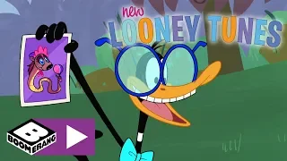 New Looney Tunes | The Jungle Show | Boomerang UK 🇬🇧