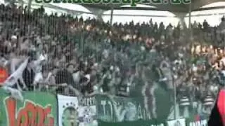 Rapid Wien Fangesänge und Schlachtrufe