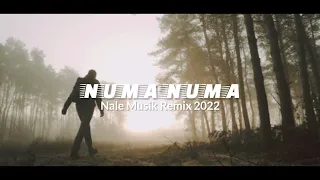 Numa Numa Yei Slow Remix Terbaru 2022 (Nale Musik)