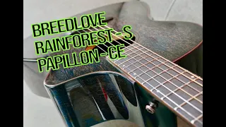 Breedlove Rainforest S Papillon CE