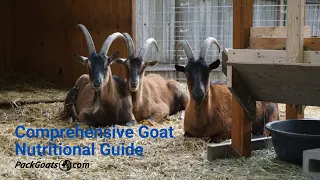 Comprehensive Goat Nutrition Guide