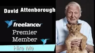 Freelancer.com #ScavHunt2016 Challenge 85: Pokemon Stampede narrated by David Attenborough