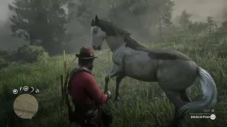 John Loses Tug of War with Horse in RDR2