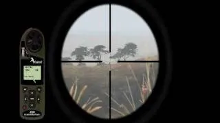 Arma 2 O.A - (Sniper Shoot 885m with M107) - Clan Esus - EDw