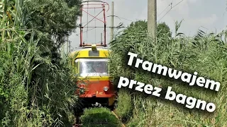 Tramwaje na Ukrainie /bagienny tramwaj/