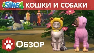 Кошки и Собаки, факты!