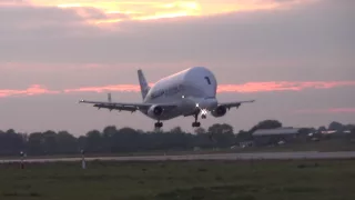 Beautiful Evening Light Airbus A300-600ST Beluga Landing at Airbus Plant Finkenwerder