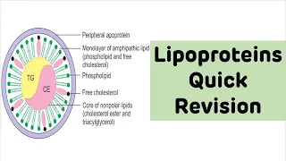 Lipoproteins Quick Revision || Biochemistry Rapid Revision Series || Lipoproteins Biochemistry