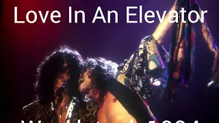 Aerosmith - Love In An Elevator - Woodstock 1994