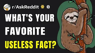 Useless facts you need to know! (Reddit r/AskReddit)