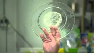 Consumer Reports tests dish detergent