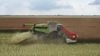 Rapita 2021- Claas Lexion 8700 TT + Claas Vario 1230