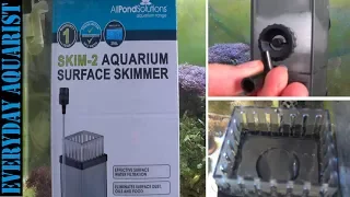 Aquarium Surface Oil Film SOLVED Surface Skimmers Explained