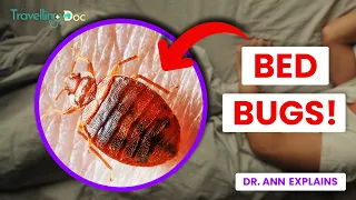 Bedbugs: How to Spot and Avoid Them | Doctor Explains
