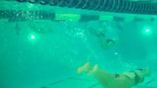 Lanes 1-4  25m underwater body dolphin