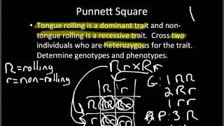 Video Lecture: 9-1 Introduction to Genetics