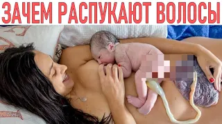 ПРАВИЛА В РОДДОМЕ | Вот почему в роддоме всех рожениц просят и даже заставляют распускать волосы