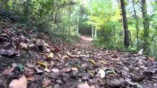 Salt Run Trail / Lake Trail Loop - Cuyahoga Valley NP