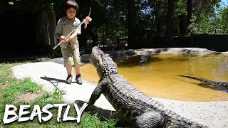 The Daredevil Youngsters Handling Massive Reptiles | BEAST BUDDIES SPECIAL