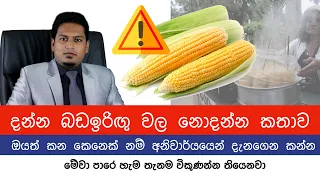 බඩඉරිඟු කන්න කලින් අනිවාර්යයෙන් දැන ගන්න | Corn & Health By Nutritionist Hiroshan Jayaranga
