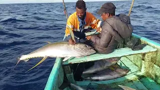 Catching Huge Yellowfin Tuna | Master Som | Fishing |