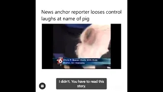News Anchor reporter looses control laughs at name of the pig 😅😂😂😂😂😂😂🙆