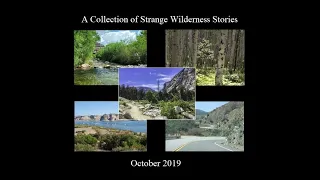 A Collection of Strange Wilderness Stories - October 2019