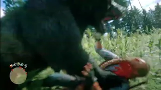 RDR2 Arthur Courage wins against deadly Grizzly bear