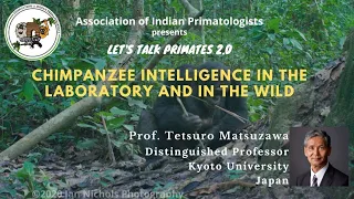 Chimpanzee Intelligence in the Laboratory and in the Wild - Prof. Tetsuro Matsuzawa