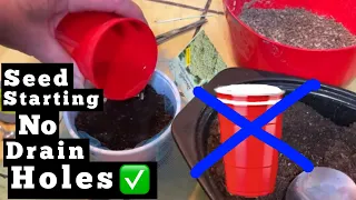 EASY Starting Seeds TIPS, WHAT to GROW Now, Recycle Food Containers to Garden FREE Plants with Tulle