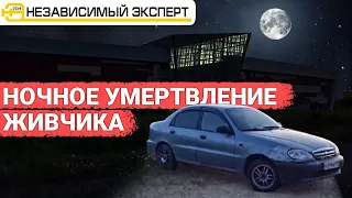 Ночное умертвение живчика!