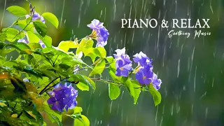 Beautiful Piano Music & Rain Sounds for Stress Relief Matthew 🌿 Stop Overthinking, Stress Relief