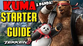 Kuma & Panda Ultimate Starter Guide - Tekken 8