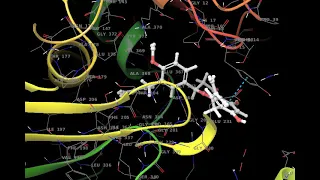 Molecular Dynamic Simulation Trajectory Video