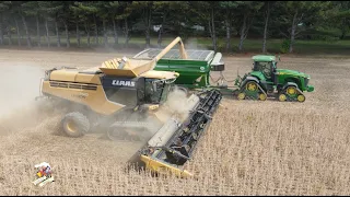 2023 Soybean Harvest with Martig Farms near New Waterford Ohio