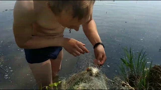 Зацепил браконьерскую сеть  на рыбалке. Снял забытые браконьерскую сеть Виталий Игнатюк