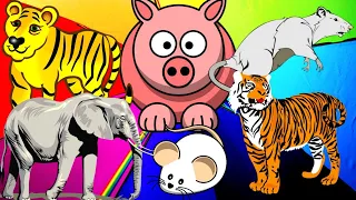 Familiar animals sound: horse, elephant, tiger, cow, duck, chicken, cat, dog, bird - Part 1