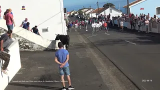 Tourada do Bodo das Doze Ribeiras-Ilha Terceira (2022-06-16)