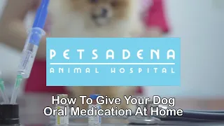 How To: Give Your Dog Oral Medication