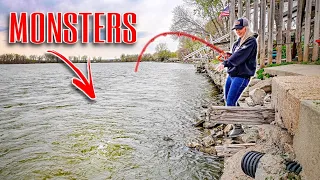 This UNDERGROUND SPILLWAY Is Full Of ANGRY FISH!!! (She Finally Caught One)