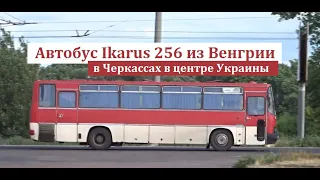 Легендарный Икарус Ikarus 256 в Черкассах в центре Украины. Автобус нашего детства. Автомобили CCCР.