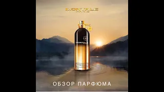 Описание аромата Montale Leather Patchouli