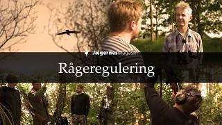 Rågeregulering - En film om regulering af rågeunger